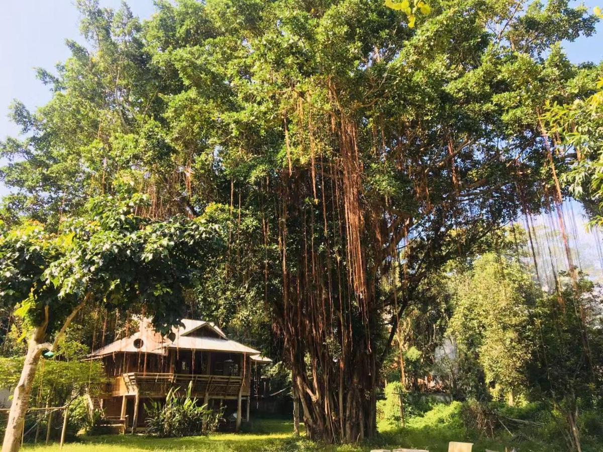 Golden Hut -Chill Bungalows In Town黄金泰式传统独栋小屋 Pai Exterior photo